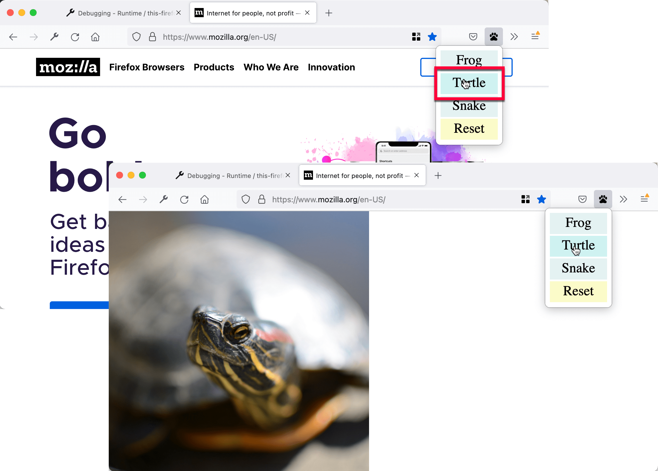 Une page remplacée par l'image d'une tortue